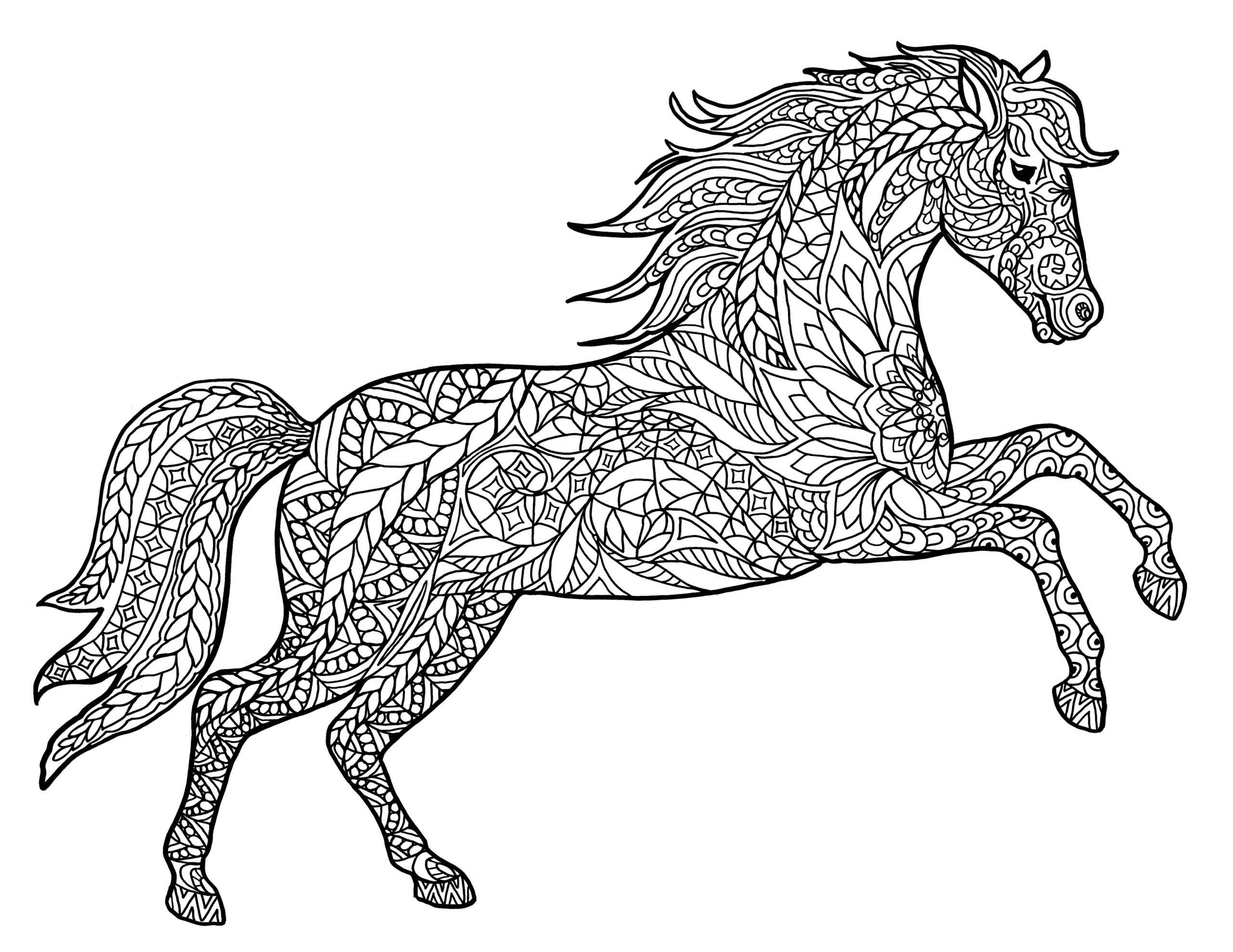 Animal Coloring Pages For Adults Free Printable