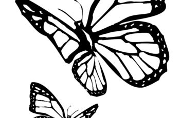 Butterfly Coloring Pages Printable