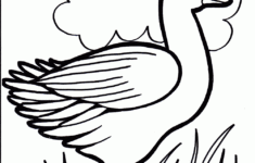 Duck Coloring Pages Best Coloring Pages For Kids