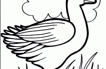 Kids Colouring Pictures