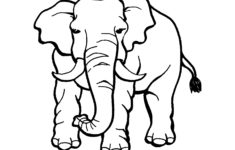 Elephants To Print For Free Elephants Kids Coloring Pages