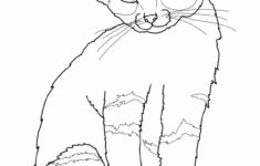 Free Printable Cat Coloring Pages For Kids