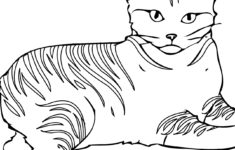 Free Printable Cat Coloring Pages For Kids
