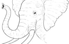 Free Printable Elephant Coloring Pages For Kids