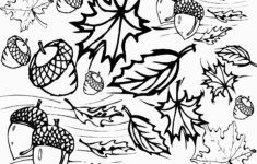 Free Printable Fall Coloring Pages For Kids Best Coloring Pages For Kids