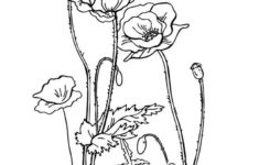Free Printable Flower Coloring Pages For Kids Best Coloring Pages For