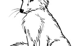 Free Printable Fox Coloring Pages For Kids