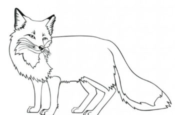 Fox Coloring Pages Printable