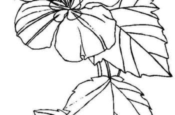 Coloring Pictures To Print