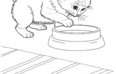 Free Printable Kitten Coloring Pages For Kids Best Coloring Pages For