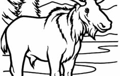 Free Printable Moose Coloring Pages For Kids