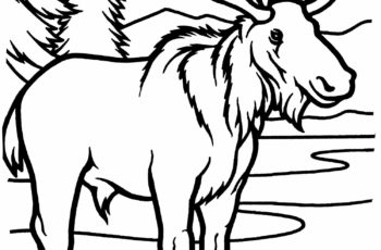 Kids Printable Coloring Pages