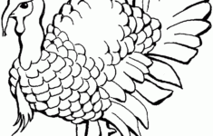 Free Turkey Coloring Pages