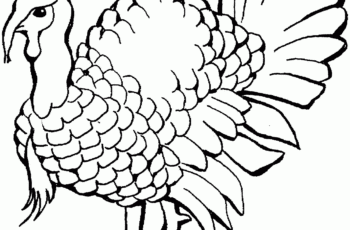 Turkey Coloring Pages Printable