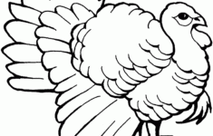 Free Turkey Coloring Pages