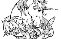 Full Size Coloring Pages For Adults At GetColorings Free