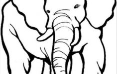 Get This African Elephant Coloring Pages Free Printable 5678093