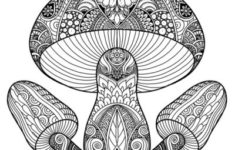 Mushrooms Doodle Art Adult Coloring Page Karyn Lewis Illustration