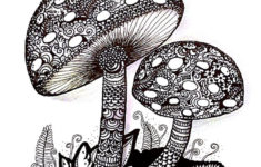 Mushrooms Mushroom Pictures Colouring Pages Zentangle Art