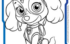 Paw Patrol Colouring Pages And Activity Sheets In The Playroom