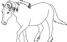 Rearing Horse Coloring Pages At GetColorings Free Printable