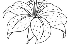 Beautiful Easter Lily - Coloring Pages For Kids in Printable Easter Lily Coloring Page