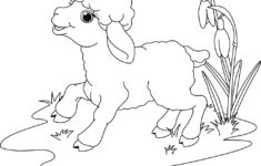 Easter Lamb Coloring Page Royalty Free Vector Image for Free Printable Easter Lamb Coloring Pages