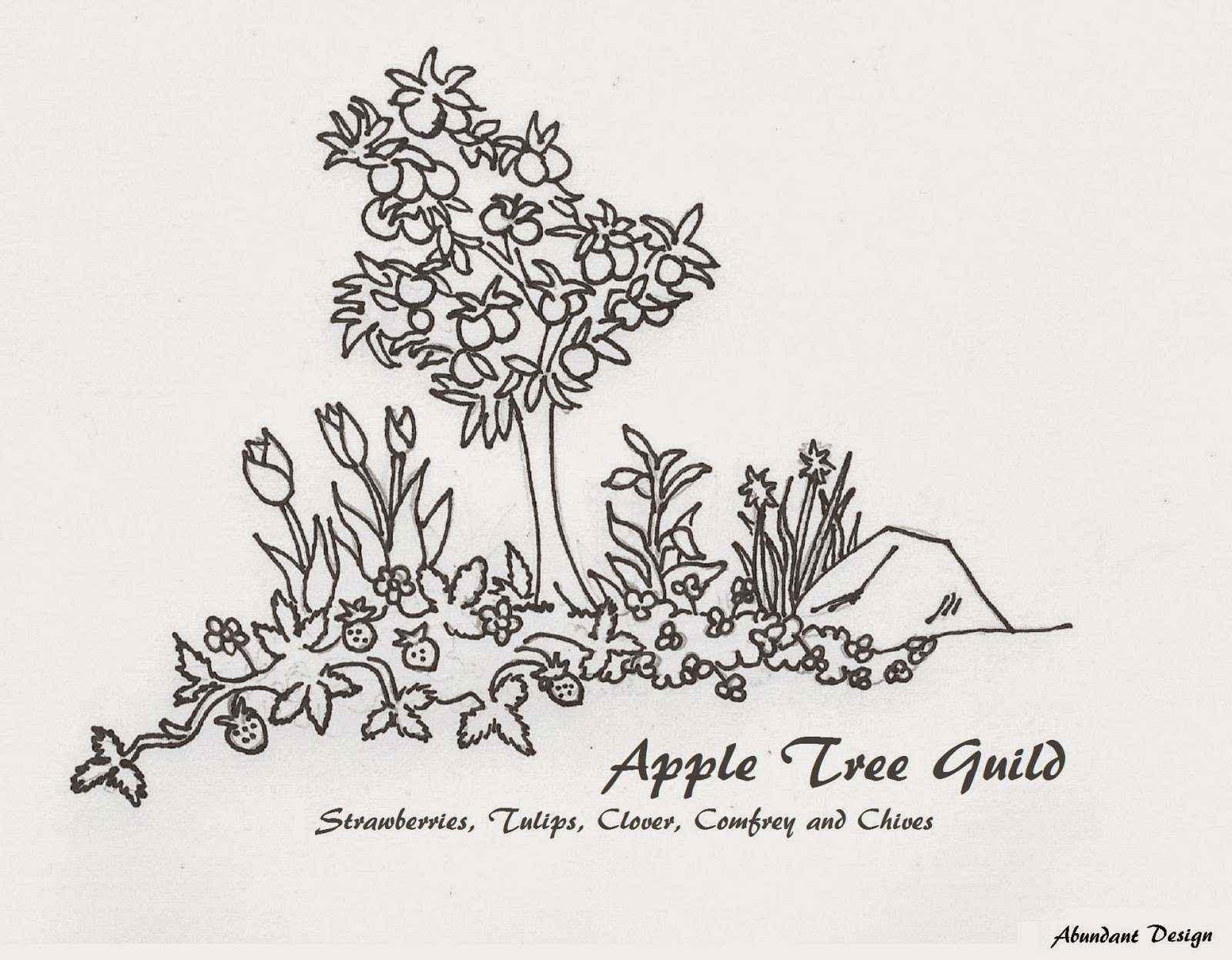 Coloring Page For Kids - Apple Tree Guild (Education Forum At Permies) within Guild Thanksgiving Coloring Sheets