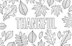 Thanksgiving Coloring Pages {Free Printable} - Paper Trail Design in Thanksgiving Coloring Sheets Free Printables