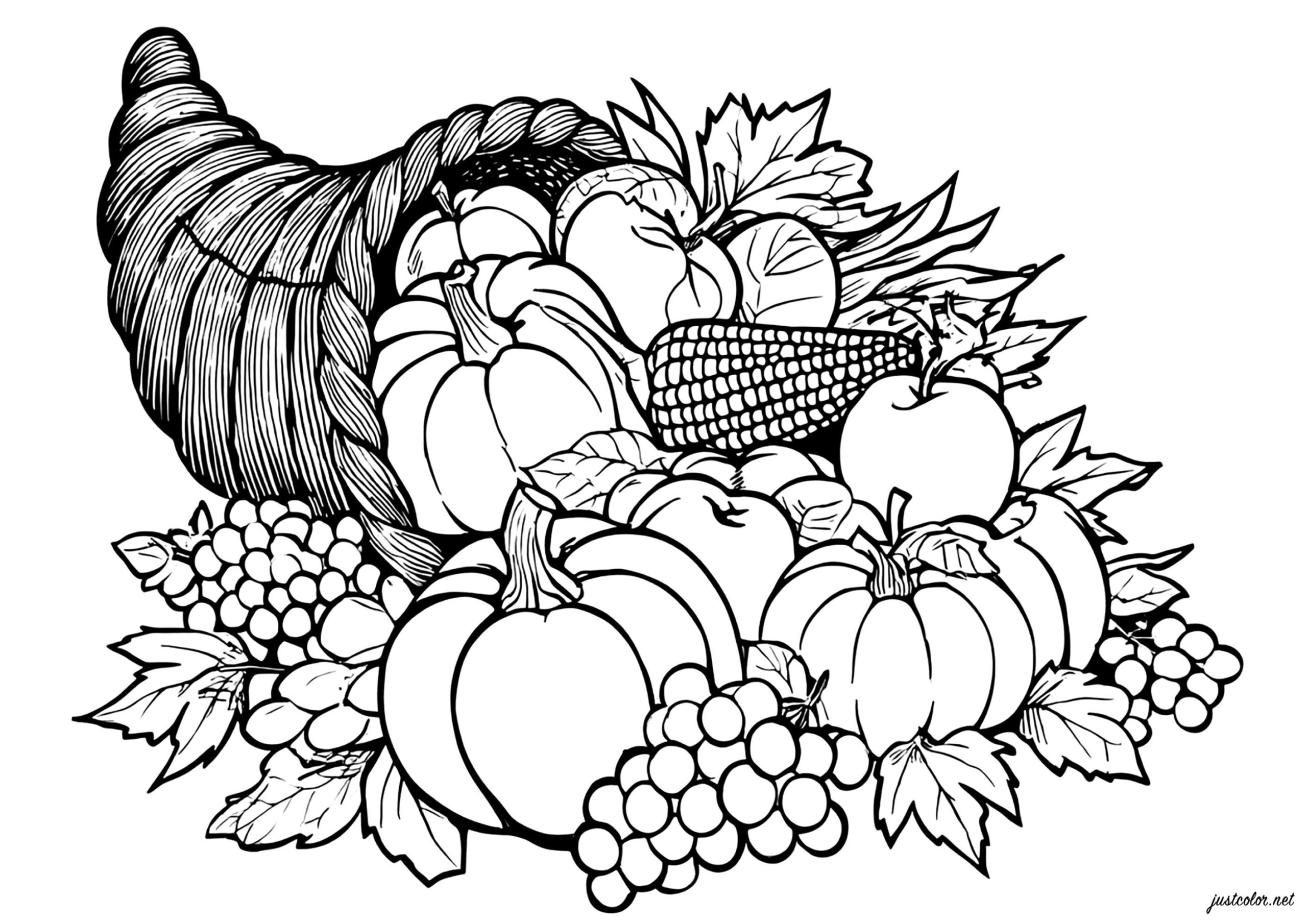 Varied Fruit Horn Of Plenty - Thanksgiving Coloring Pages For Adults inside Thanksgiving Horn of Plenty Coloring Sheet
